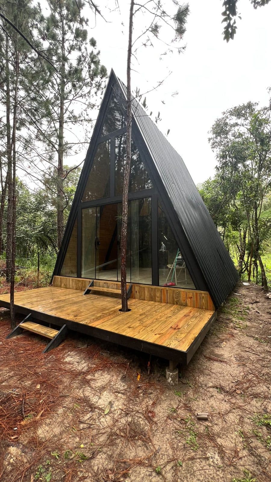 Cabana A-frame preta envidraçada com deck de pinus contornando árvore