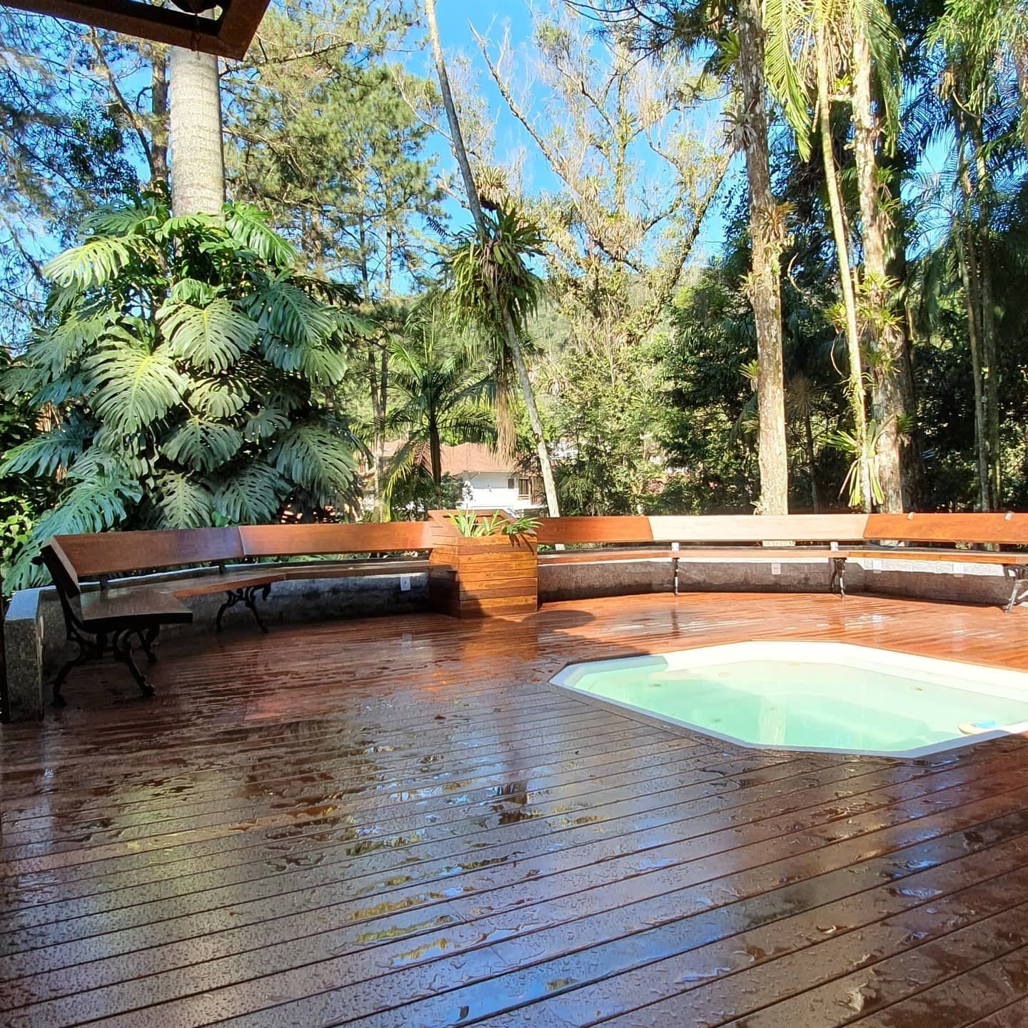 Banco curvo e spa pequeno no deck, entre árvores